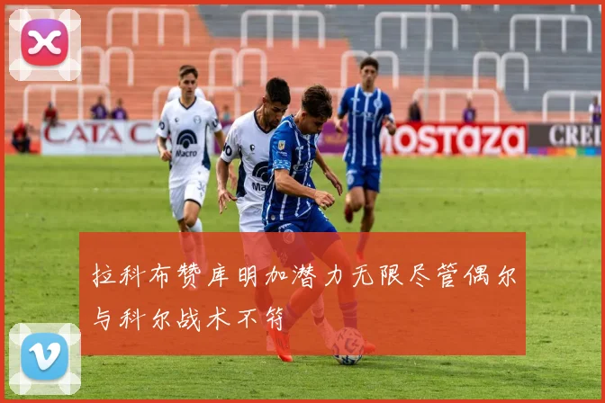 拉科布赞库明加潜力无限尽管偶尔与科尔战术不符