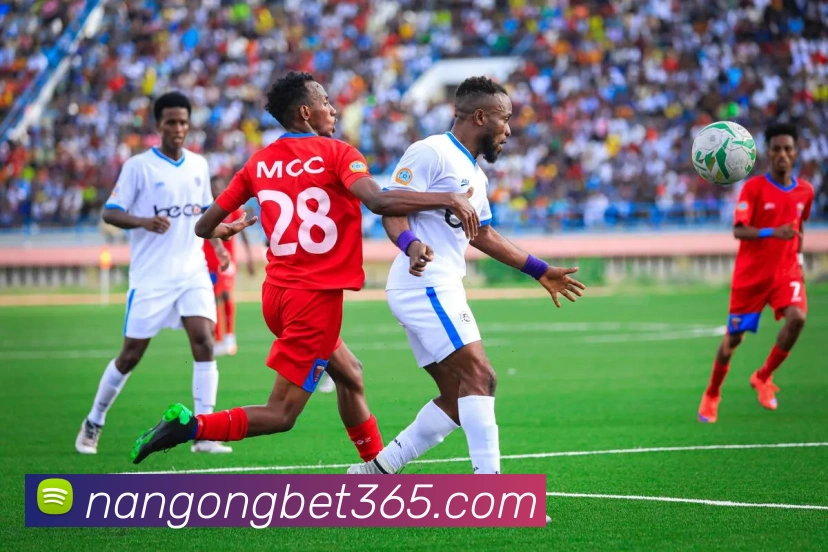 App Interface Preview