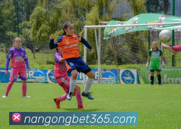 南宫体育APP 封面图